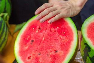 郑州大学免费吃瓜,免费瓜果盛宴，共享清凉时光  第3张