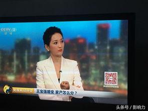 中央2台直播在线观看,实时掌握国家动态，尽享精彩瞬间  第1张