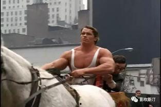 意大利种马在线观看,一场视觉与情感的盛宴  第1张